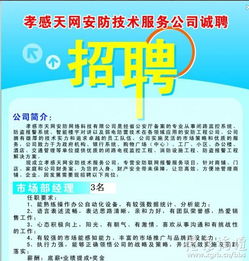 孝感天網(wǎng)安防技術(shù)服務公司誠聘技術(shù)服務精英