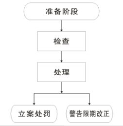 計劃生育技術(shù)服務工作定期檢查流程圖解析及網(wǎng)絡(luò)技術(shù)服務支撐