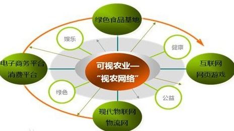 解析VIE結構 網絡技術服務中的特殊架構